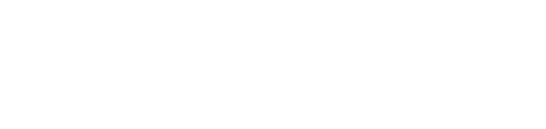 البوابة الداخلية